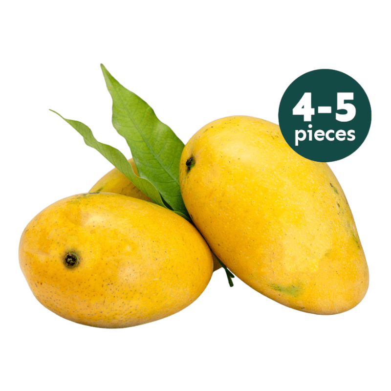 Season Ended - 4 to 5 Fresh Badami Mango | Back in May 2026