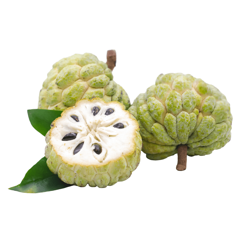 Jamoona Fresh - 500g Fresh Custard Apple (Sugar Apple) Sitaphal (1-2 Pieces)